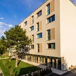 Rent 3 bedroom apartment of 19 m² in Munich