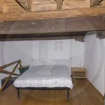 Rent 1 bedroom apartment of 35 m² in Pavia