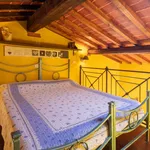 Rent 1 bedroom apartment in Florence