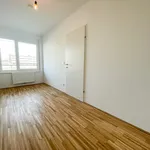 Rent 2 bedroom apartment of 33 m² in Vienna