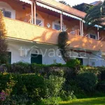 Rent 2 bedroom apartment of 40 m² in Forio