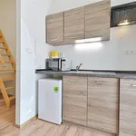 Rent 1 bedroom apartment in Brno