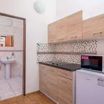 Studio of 20 m² in prague