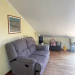 Rent 3 bedroom apartment of 100 m² in Pescara