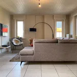 Rent 1 bedroom apartment in Waregem