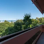 Rent 6 bedroom apartment of 125 m² in Geneva