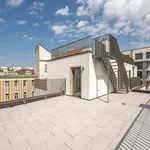 Rent a room of 66 m² in Vienna