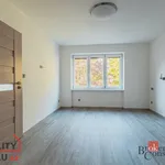 Rent 2 bedroom apartment in Rychnov nad Kněžnou