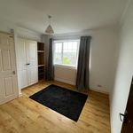 Rent 1 bedroom house in Brighton