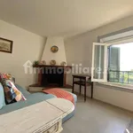 2-room flat Lungarno Trento e Trieste 21, Limite, Capraia e Limite