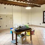 Rent 3 bedroom apartment of 60 m² in Montecarlo