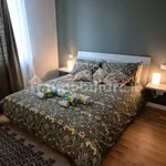 Rent 2 bedroom apartment of 60 m² in Turin