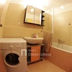 Rent 2 bedroom apartment of 55 m² in Prague