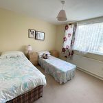 Rent 3 bedroom house in Brighton