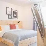 Rent 2 bedroom apartment of 50 m² in Freiburg im Breisgau