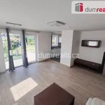 Rent 1 bedroom house of 93 m² in Capital City of Prague