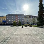 Rent 3 bedroom apartment of 54 m² in Budišov nad Budišovkou