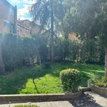 Rent 3 bedroom apartment of 100 m² in Roma