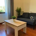 Rent a room of 140 m² in salamanca