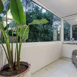 Rent 3 bedroom apartment in Toorak