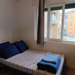 Rent a room in padua