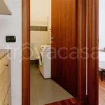 Rent 2 bedroom apartment of 60 m² in Milano