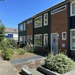 Esdoornstraat, Raalte - Amsterdam Apartments for Rent