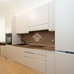 Rent 2 bedroom apartment of 60 m² in Milan