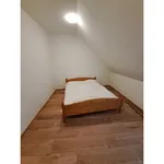 Rent 1 bedroom apartment of 100 m² in Pécs