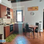 Rent 2 bedroom apartment of 55 m² in Palermo