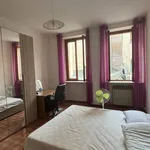 Rent 4 bedroom apartment of 110 m² in Novara