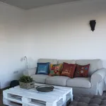 Alquilo 1 dormitorio apartamento de 40 m² en Malaga']