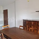 Rent 3 bedroom apartment of 100 m² in Modena