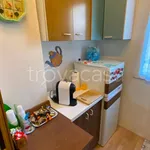 Rent 1 bedroom apartment of 30 m² in Torino