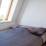 Miete 1 Schlafzimmer wohnung von 50 m² in berlin