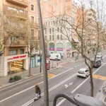 Rent 7 bedroom apartment in Barcelona