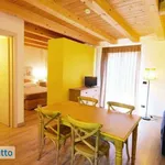 Rent 1 bedroom apartment of 60 m² in Fantino