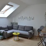 Rent 1 bedroom apartment of 43 m² in Brno