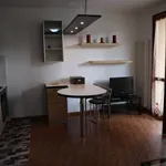 Rent 1 bedroom apartment of 40 m² in Cernusco sul Naviglio