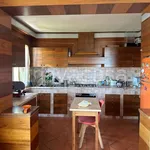 Rent 4 bedroom apartment of 100 m² in Montalto di Castro