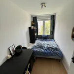 Rent 1 bedroom apartment in Leuven