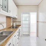 Alugar 1 quarto apartamento de 44 m² em Albufeira