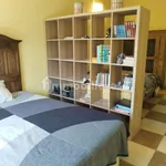 Rent 2 bedroom apartment of 40 m² in Turin