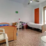 Rent 1 bedroom apartment in Milan