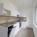 Pronajměte si 1 ložnic/e byt o rozloze 42 m² v Pilsen