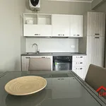 Rent 4 bedroom apartment in Genoa