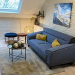 Rent 1 bedroom apartment in brussels