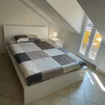 Rent 1 bedroom apartment of 45 m² in milan