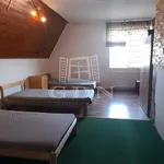 Rent 9 bedroom apartment of 250 m² in Gyál