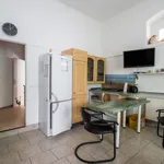 Rent 1 bedroom apartment of 45 m² in Dresden